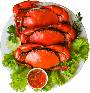 Fresh Crab Plate